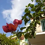 Danila Portoferraio