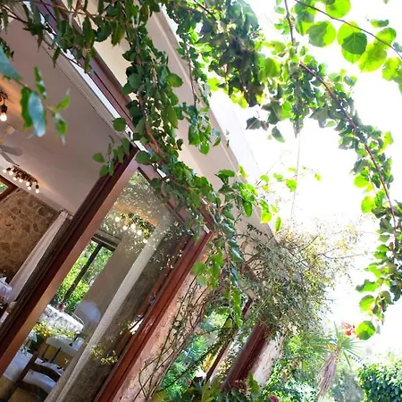 Otel Danila