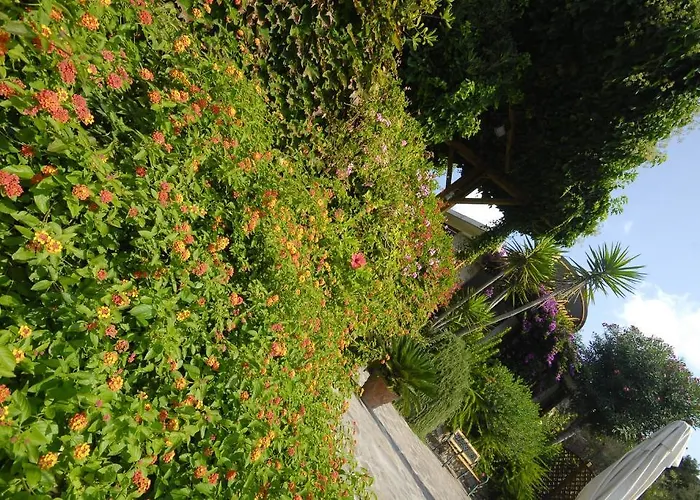 Danila 3* Portoferraio