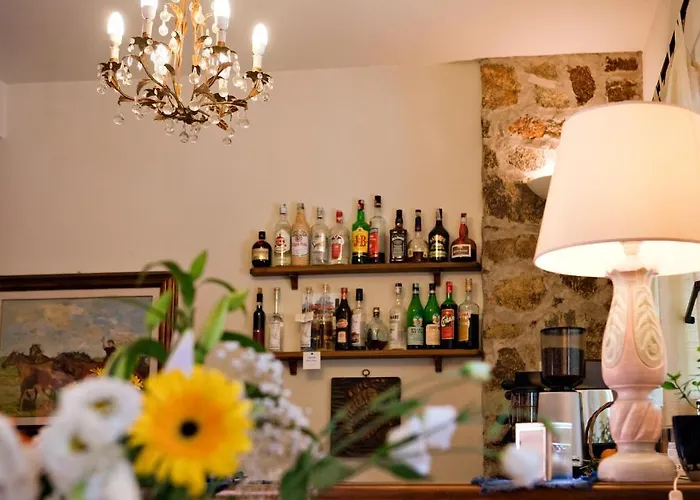 丹尼拉酒店 3* 费拉约港