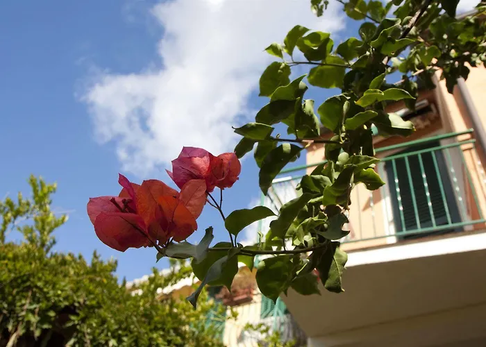 丹尼拉酒店 费拉约港